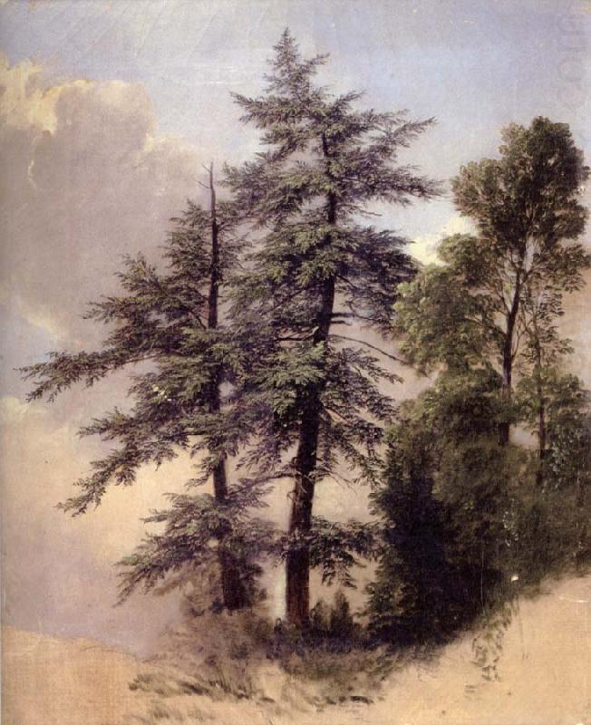 Asher Brown Durand Study from Nature Trees,Newburgh, china oil painting image